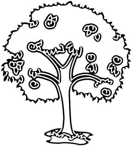 Plum Tree  Coloring Page